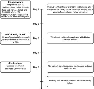 Metagenomic next-generation sequencing in a diagnosis of Pneumocystis pneumonia in an X-linked immunodeficient child: a case report